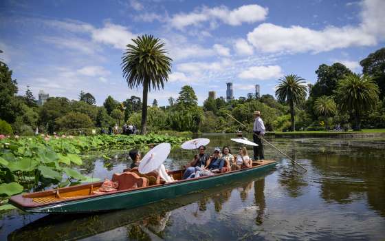 media campaign_incentives