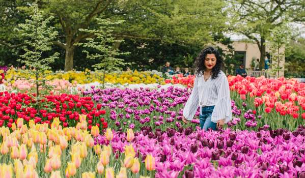 Spring at Longwood Gardens, Women walking through field of tulips