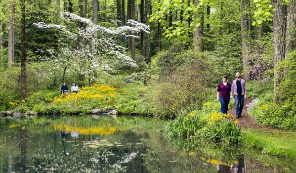 Couple on walking path around a pond at Mt. Cuba Center