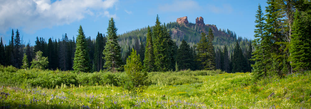 Rabbit Ears Pass