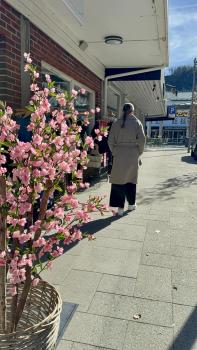 Rosa blomster i forgrunnen og en person som går langs en solfylt handlegate i Lyngdal sentrum.