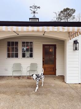 Dog at Rochambeau Roadside Inn