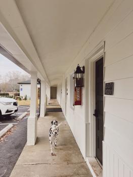 Dog at Rochambeau Roadside Inn