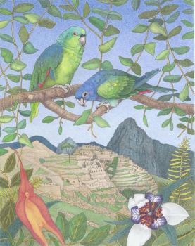 Remembering Machu Picchu