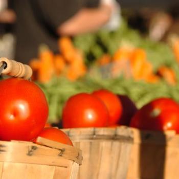 Red ripe and juicy tomatoes and sweet crisp carrots at the Farmers Market