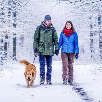 Sheldons Marsh Winter