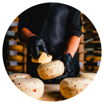 New Galma Dairy Cheese Trail circle