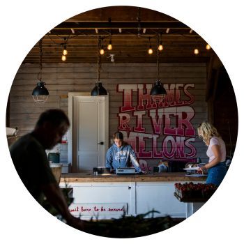 Thames River Melons Cheese Trail circle