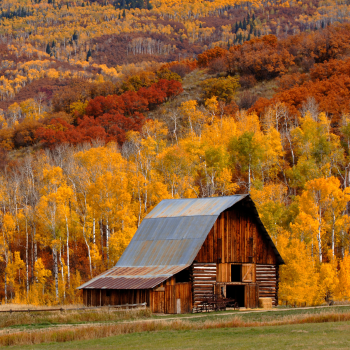 Copy of Fall header2