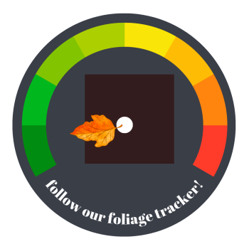 Sept 8 Foliage Tracker