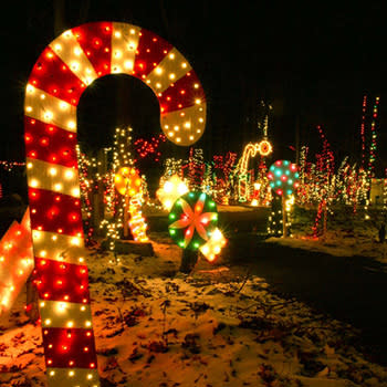 Image of the Festival of Lights in York County