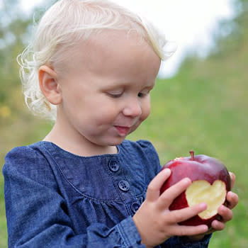 Mt. Airy Orchard Apples