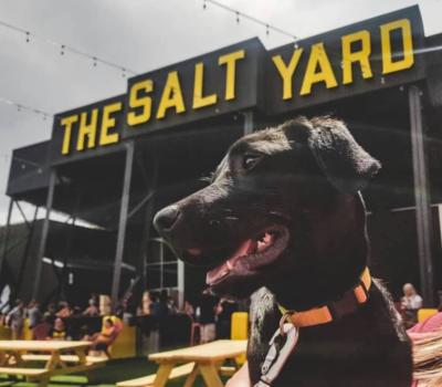 a black dog sits in front of a sign that says the salt yard