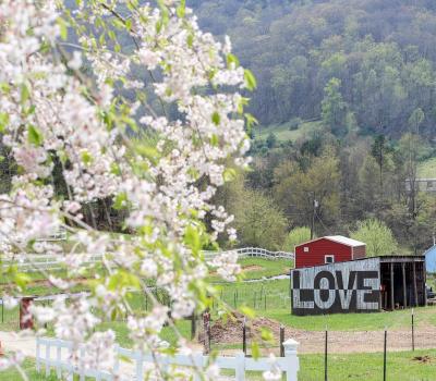 Picture of a barn at Franny's Farm