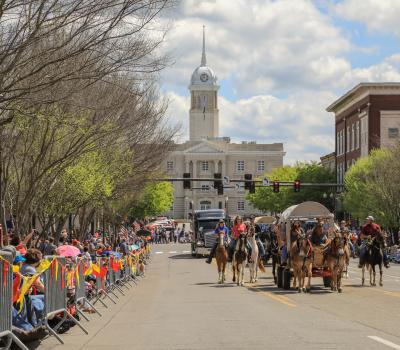 Mule Day Parade
