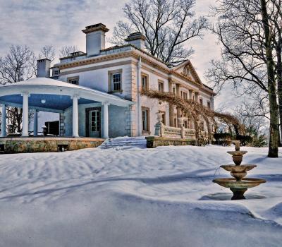 Liriodendron in Snow