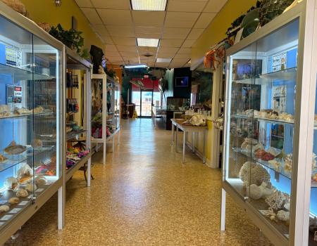Coastal Studies Shell Giftshop