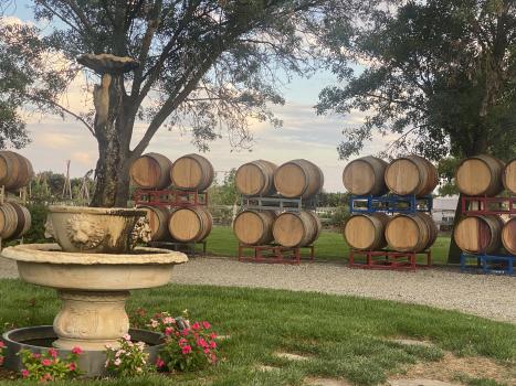 Barrels at Satori Cellars, outside with a fountain in the foreground