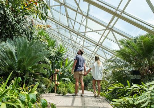 Foellinger-Freimann Botanical Conservatory