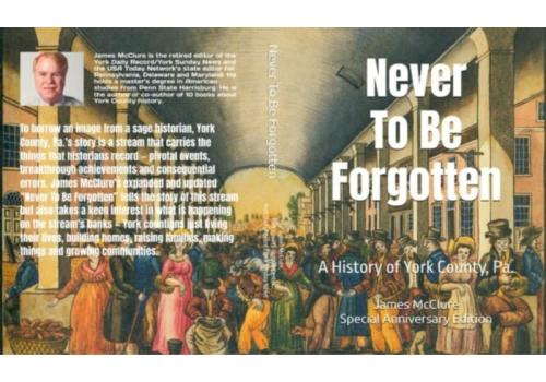 Never To Be Forgotten book cover