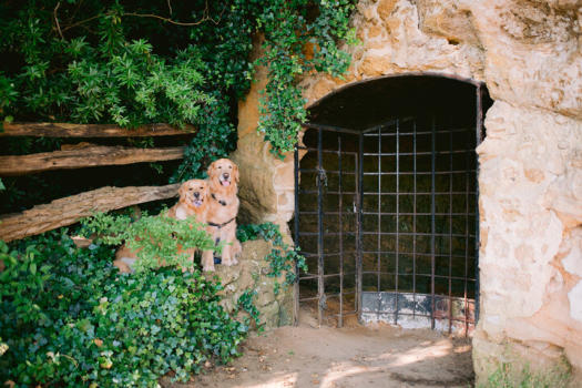 Koa and lily cornwillis cave