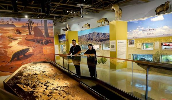 Copy of museum teens