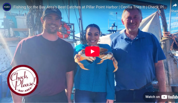 Pillar Point Harbor thumbnail video