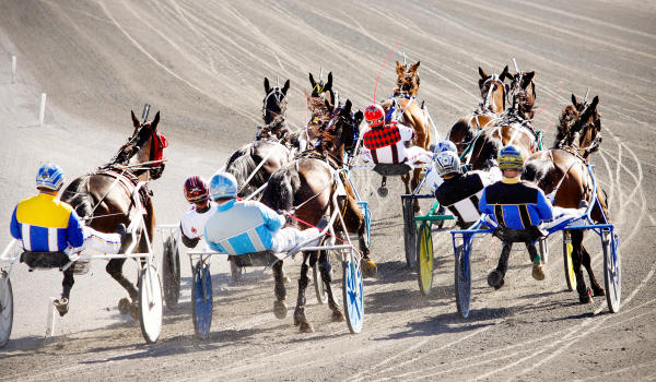 Harness Racing