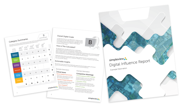 Digital Influence Report sample