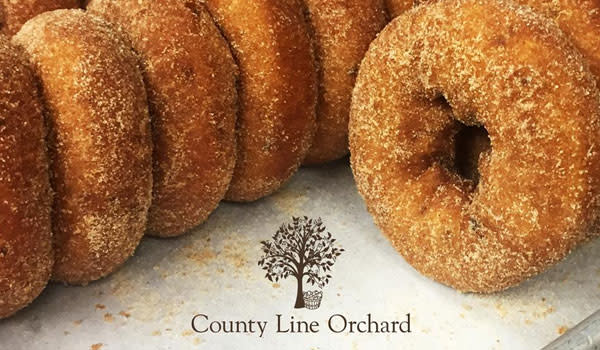 County Line Orchard doughnuts