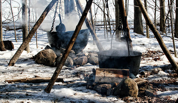 Maple Syrup Time Indiana Dunes