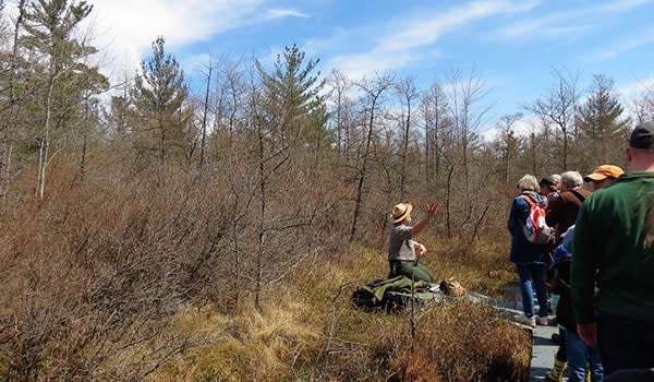 People Hiking Pinhook Bog Ranger Hike