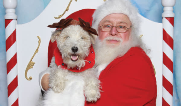 Santa Pet Photos