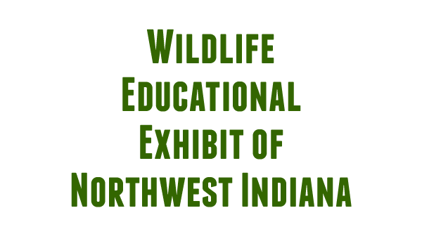 Wildlife Educational Exhibit NWI logo