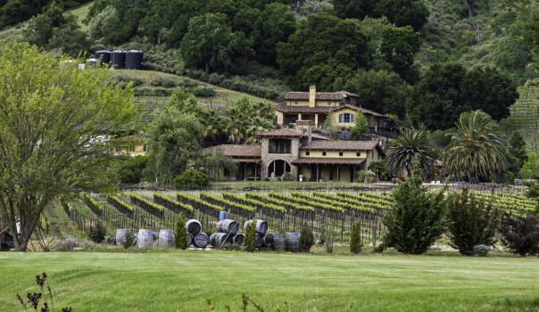 Tuscan House Vineyards grounds with the tuscan style house in the background