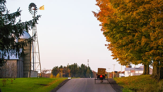 A horse and carriage traveling down an empty street past farms along the Amish Trail