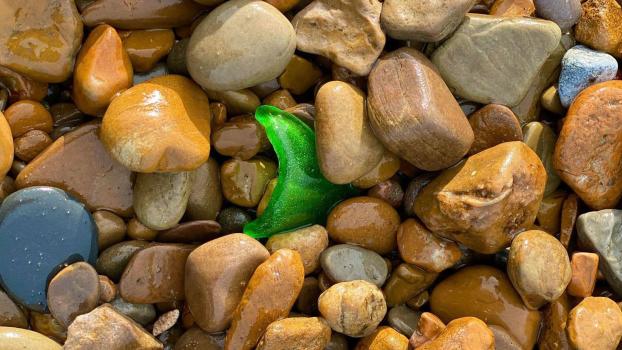 Green beach glass in rocks by Charlotte Hernandez