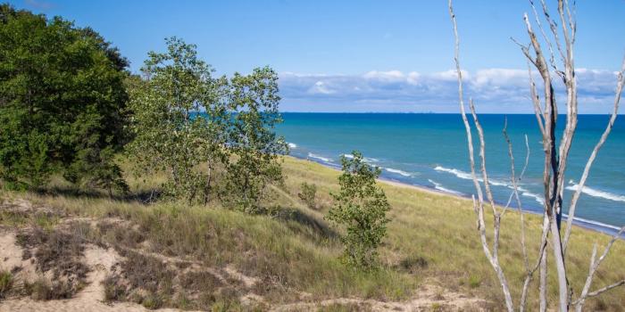 Dunes and beach