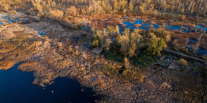 An aerial view of the Great Marsh Trail