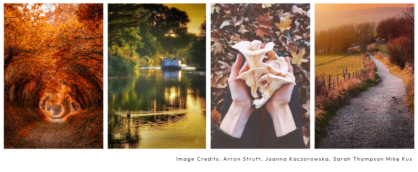 Autumn in West Sussex
