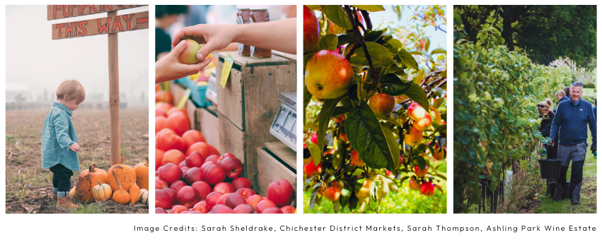 Taste the Flavours of Autumn
