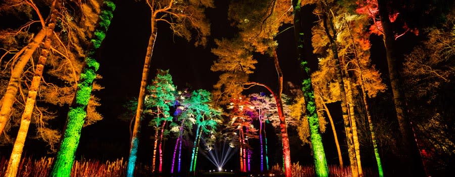 Enchanted Christmas at Westonbirt (photo by Paul Groom)