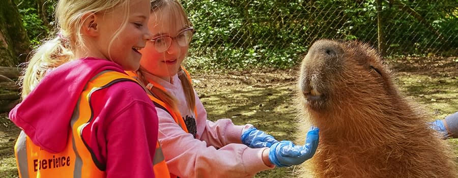Cotswold Wildlife Park