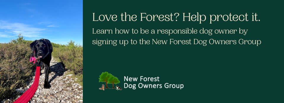 New Forest Dog Owners Group