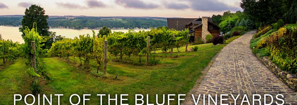 Point of the Bluff Vineyards