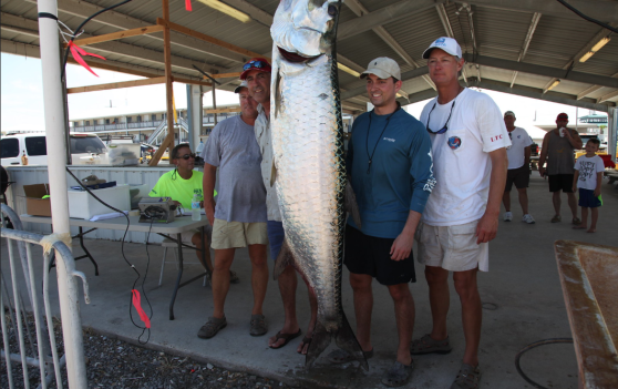 People Standing Next To A Large Fish At The Tarpon Rodeo