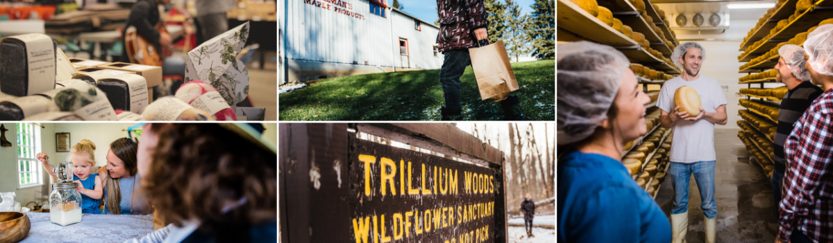 Collage of farmers market booth, person walking toward maple shop, child churning butter, Trillium Woods sign, and visitors guided by cheesemaker in aging room