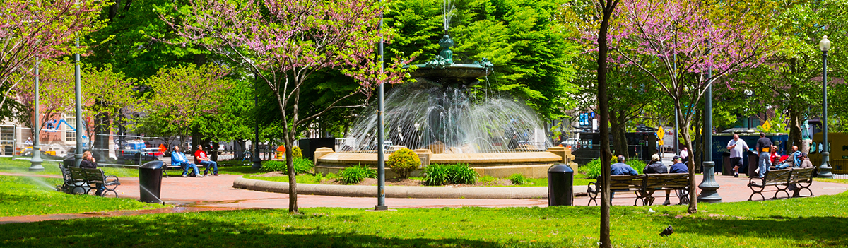 Summer at Burnside Park