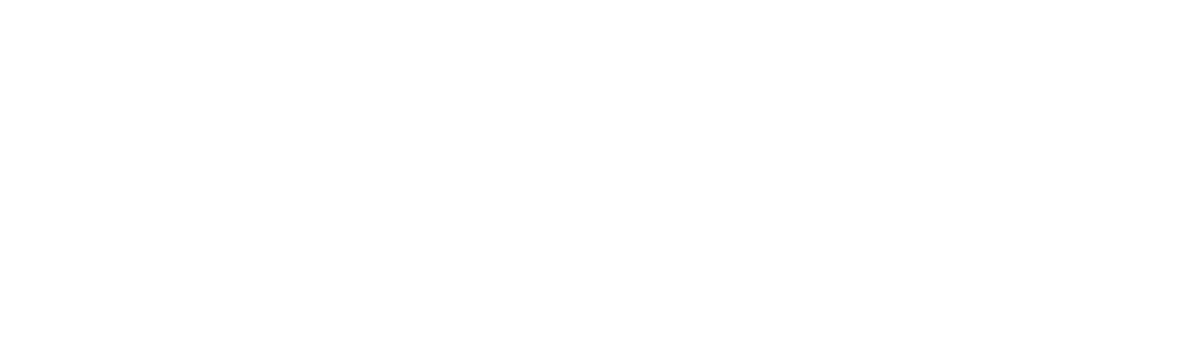 Visit Prince William Virginia Wordmark White (wide)