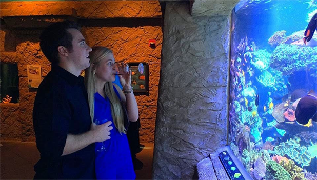 A man and a woman drink wine while looking at fish swimming in a tank at Long Island Aquarium